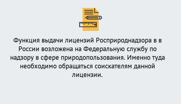 Почему нужно обратиться к нам? Новотроицк Лицензия Росприроднадзора. Под ключ! в Новотроицк