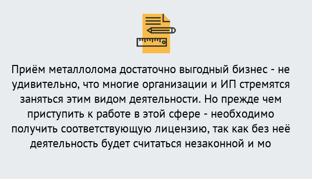 Почему нужно обратиться к нам? Новотроицк Лицензия на металлолом. Порядок получения лицензии. В Новотроицк