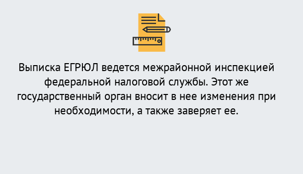 Почему нужно обратиться к нам? Новотроицк Выписка ЕГРЮЛ в Новотроицк ?