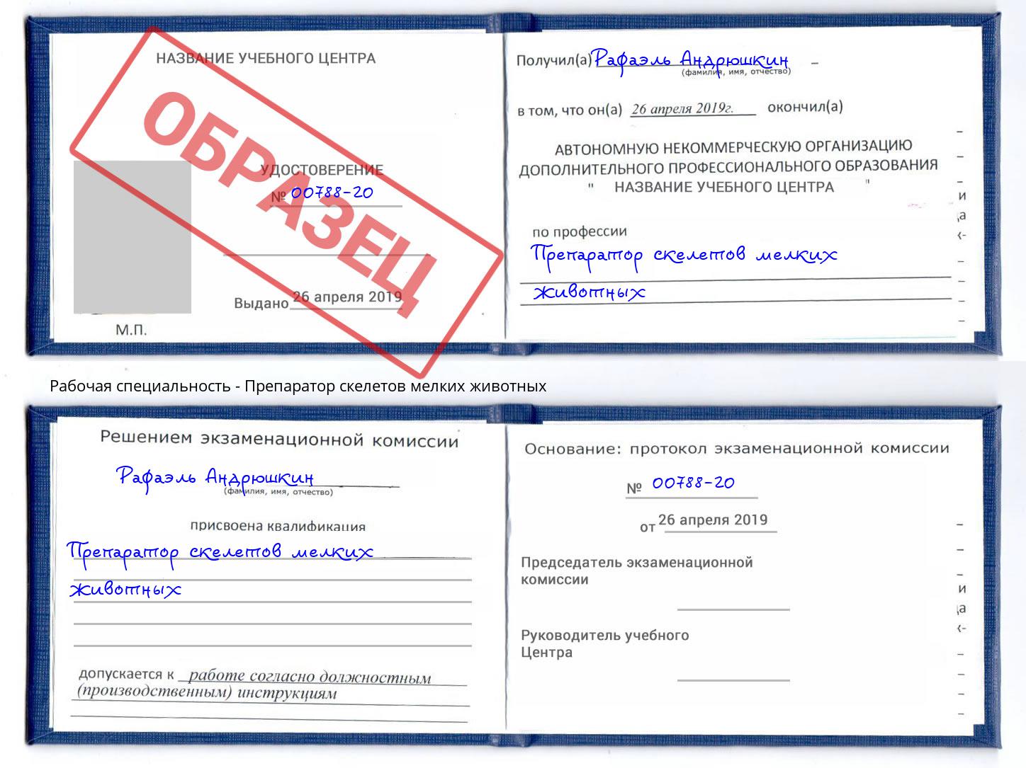 Препаратор скелетов мелких животных Новотроицк
