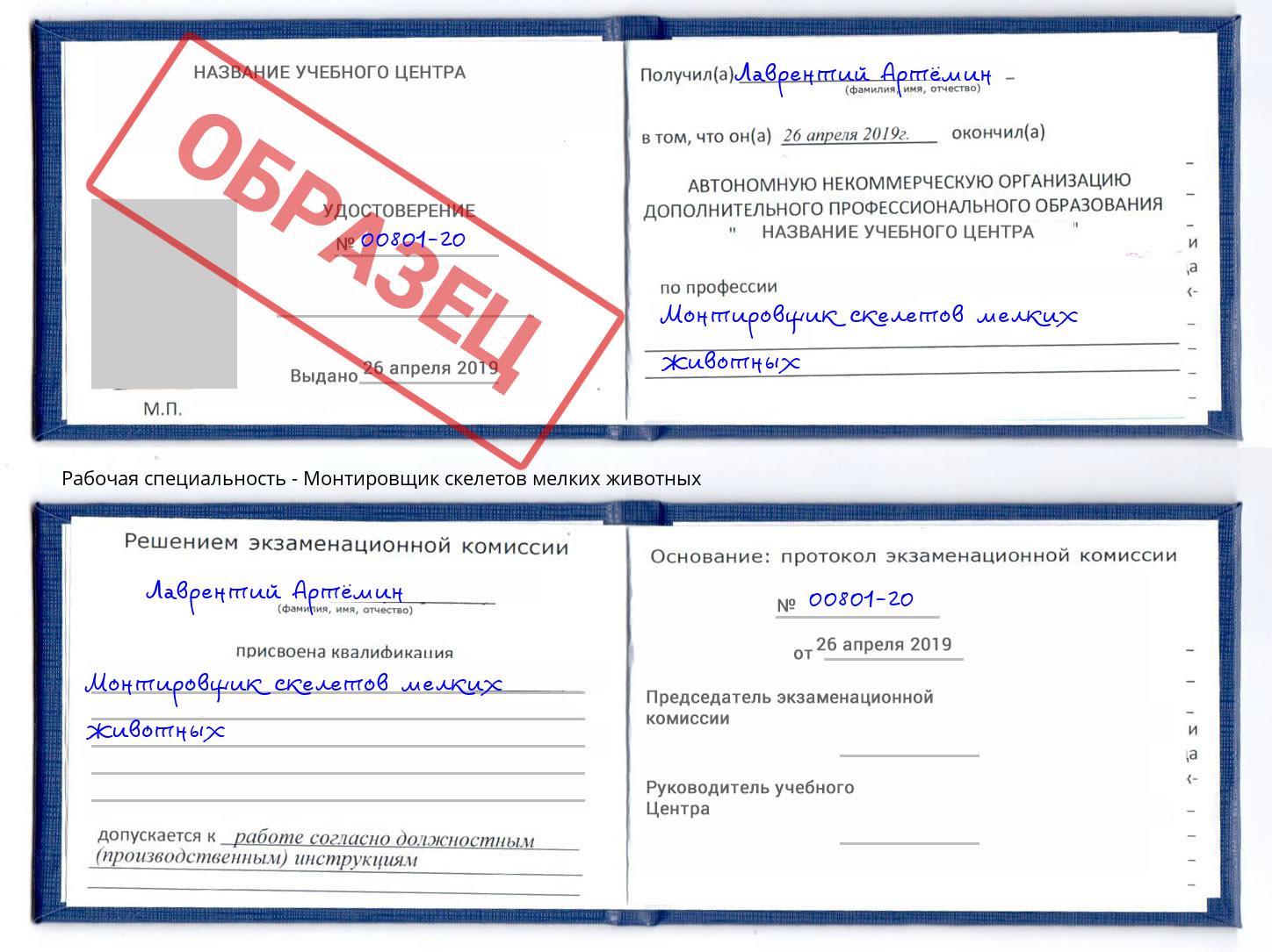 Монтировщик скелетов мелких животных Новотроицк